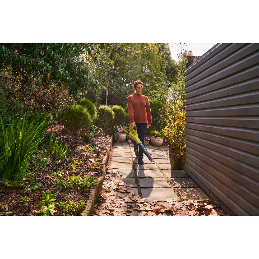 Miniatură: Suflantă 18V ONE+™