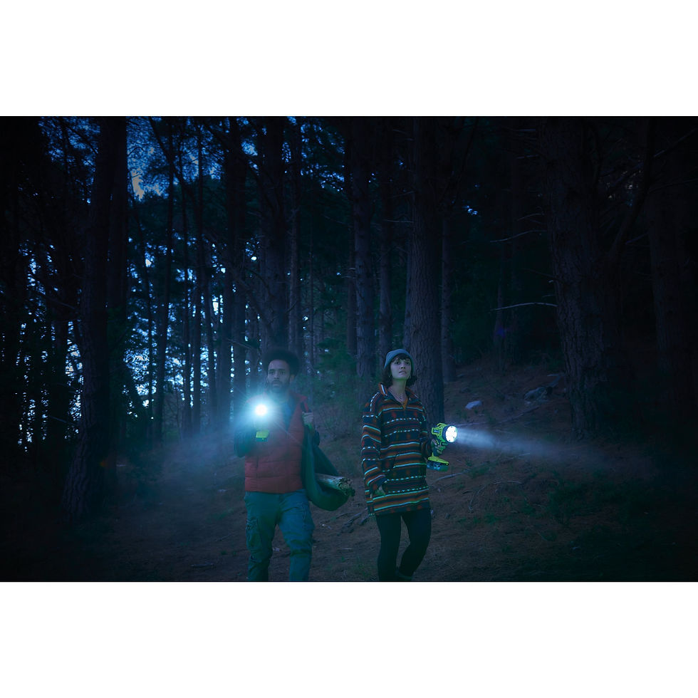 Miniatură: Lanternă 18V ONE+™