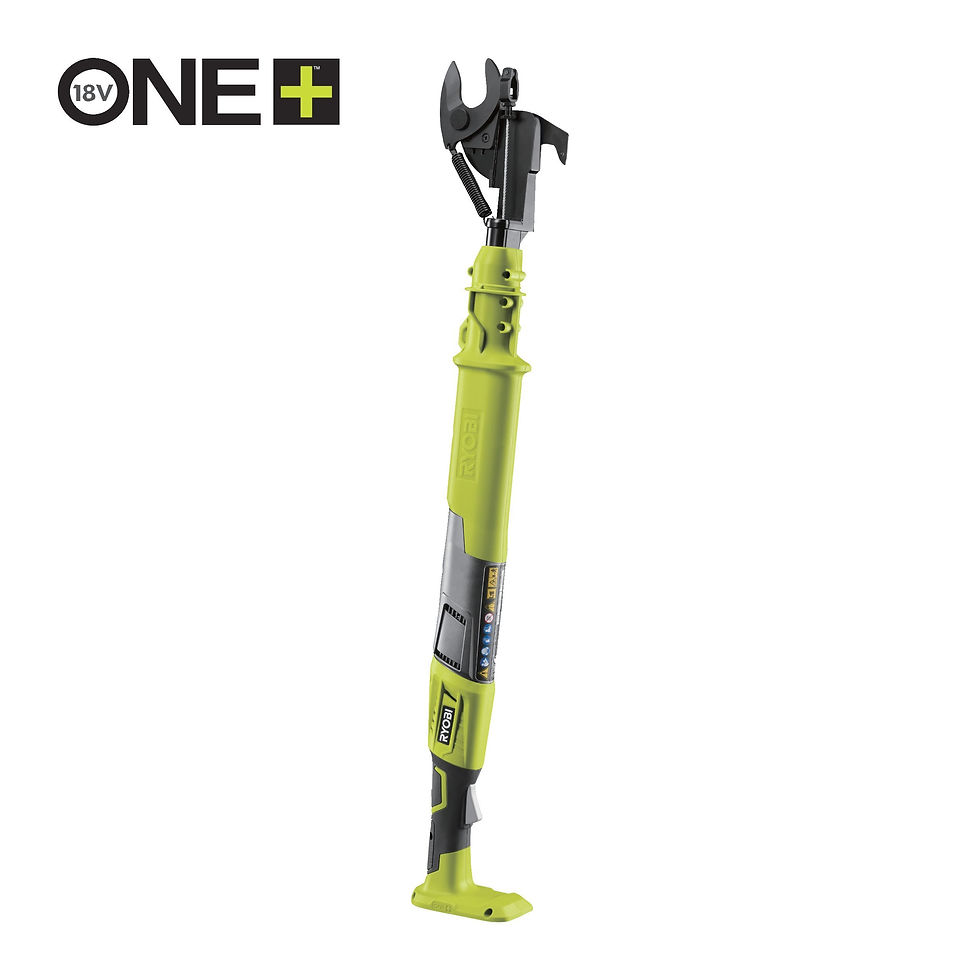 Foarfecă pentru crengi 18V ONE+™