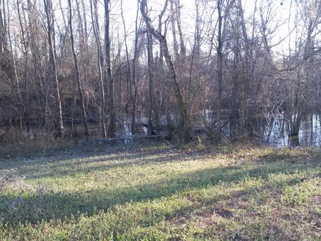 The Sanctuary of Hecate Trivia Website Launched