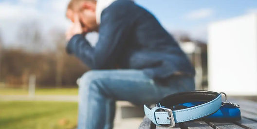 unnamed (1)_edited.jpg