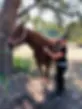 rs=w_1280,h_1707 (2).webp