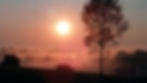 SBF Sunset