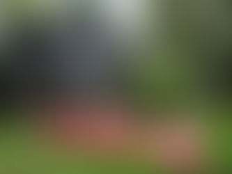 More sustainable roofs lessen the burden on the planet, making them the environmentally wise choice