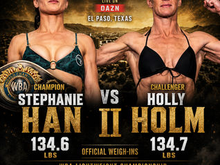 Official weights for Han/Holm 2