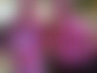 Guero Sanchez fights to draw