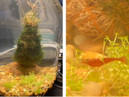 Project Jar: Months 1-3