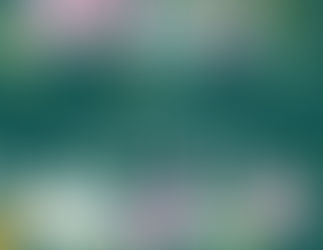 April 2021 Newsletter