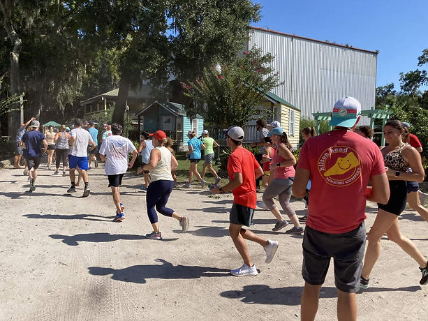 runners running.jpeg