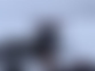 2nd Ice Dive Pewaukee Lake 1/31/21