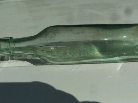 Olympics 2021 Michael Phelps competion from Pete and Jeff 3/21 On Lower Genesse 1st Shore Dive