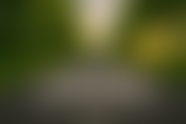 Numerologia de 2026