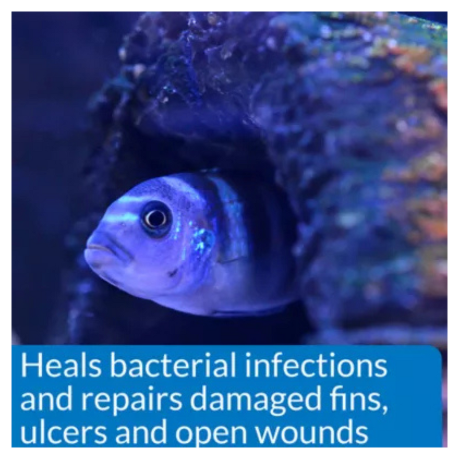 API Melafix Heals bacterial infections, repairs fins, ulcers, and wounds.