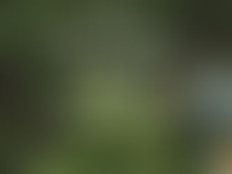 Are Tiny Houses a “good investment”?