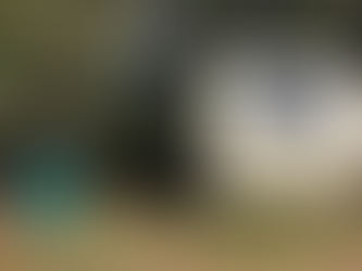 Is a caravan a better option for you right now than a Tiny House?