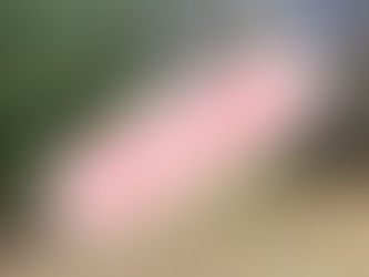 Why we screen potential host properties