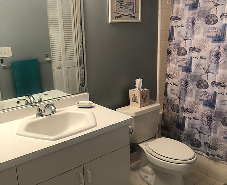 SB216 Master Bath