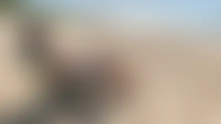 Best week at Seapointe Village