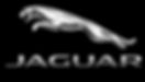 jaguar logo.jpeg