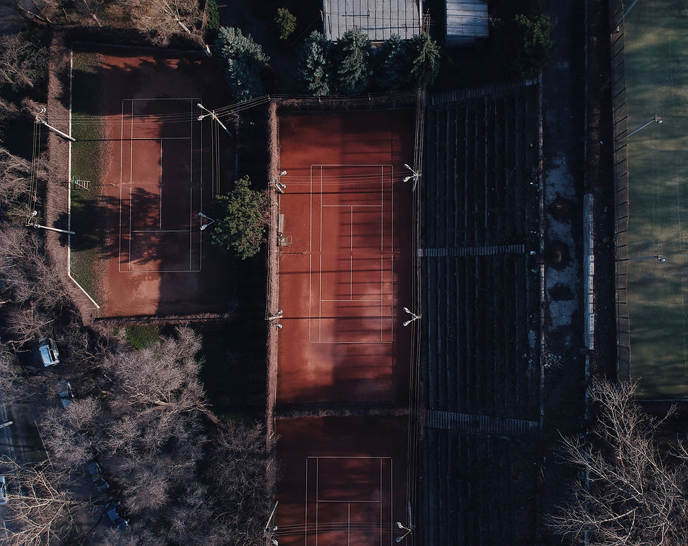 roman-skrypnyk-WFG4IVzq8Bs-unsplash.jpg