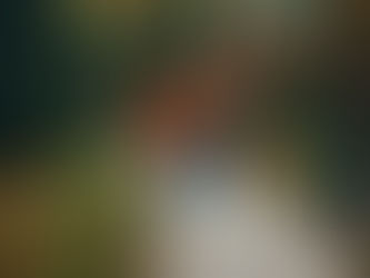 Top 8 Catholic Quotes on Family