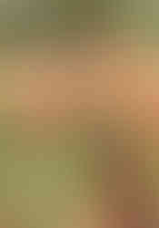 Dhoqole Catholic Primary School faces significant challenges with its water supply. A new Spring Eye and Collection Box now ensure a reliable water supply, while fencing and security measures protect the source from contamination.