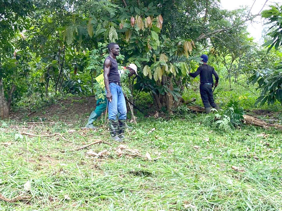 Ghana. Creating a Sustainable Community