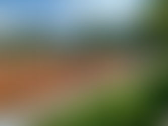 Tennisverein SV BlauGelb Dernau