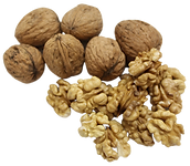 Walnut_Display.png