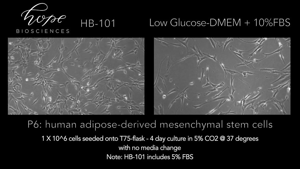 Thumbnail: Human Adipose-derived MSC Culture Kit