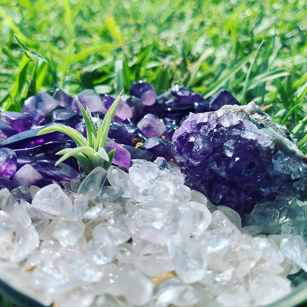 Thumbnail: Crystal Air Plant Terrarium D.I.Y.