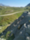 IMG_20220719_100710.jpg