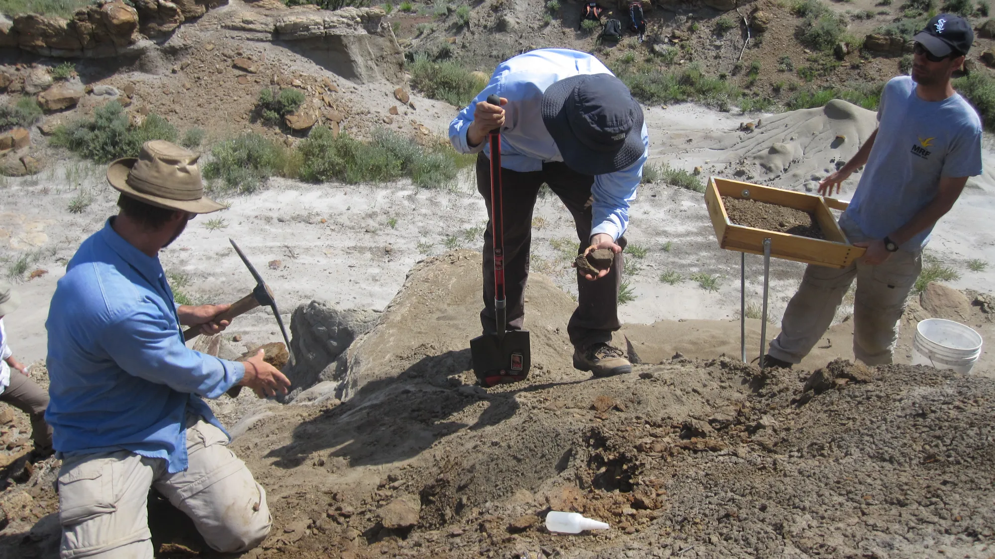 4-K-Pg-fieldwork.webp