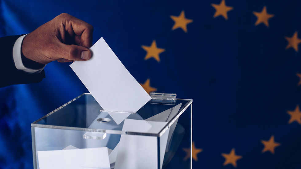 eu elections img.jpeg