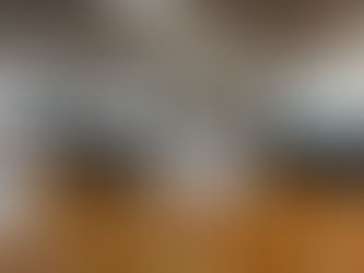 第12回富山県武道協議会武道祭