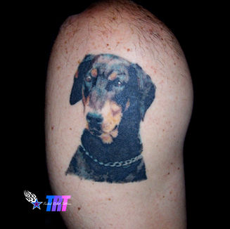 tattoo, dog tattoo, pet tattoo, color tattoo, realistic tattoo