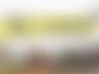 A Guide to Visiting UNESCO World Heritage Sites in Sri Lanka