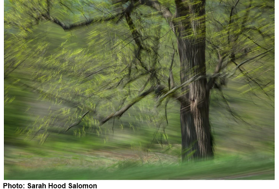 Sarah Hood Awakening.PNG