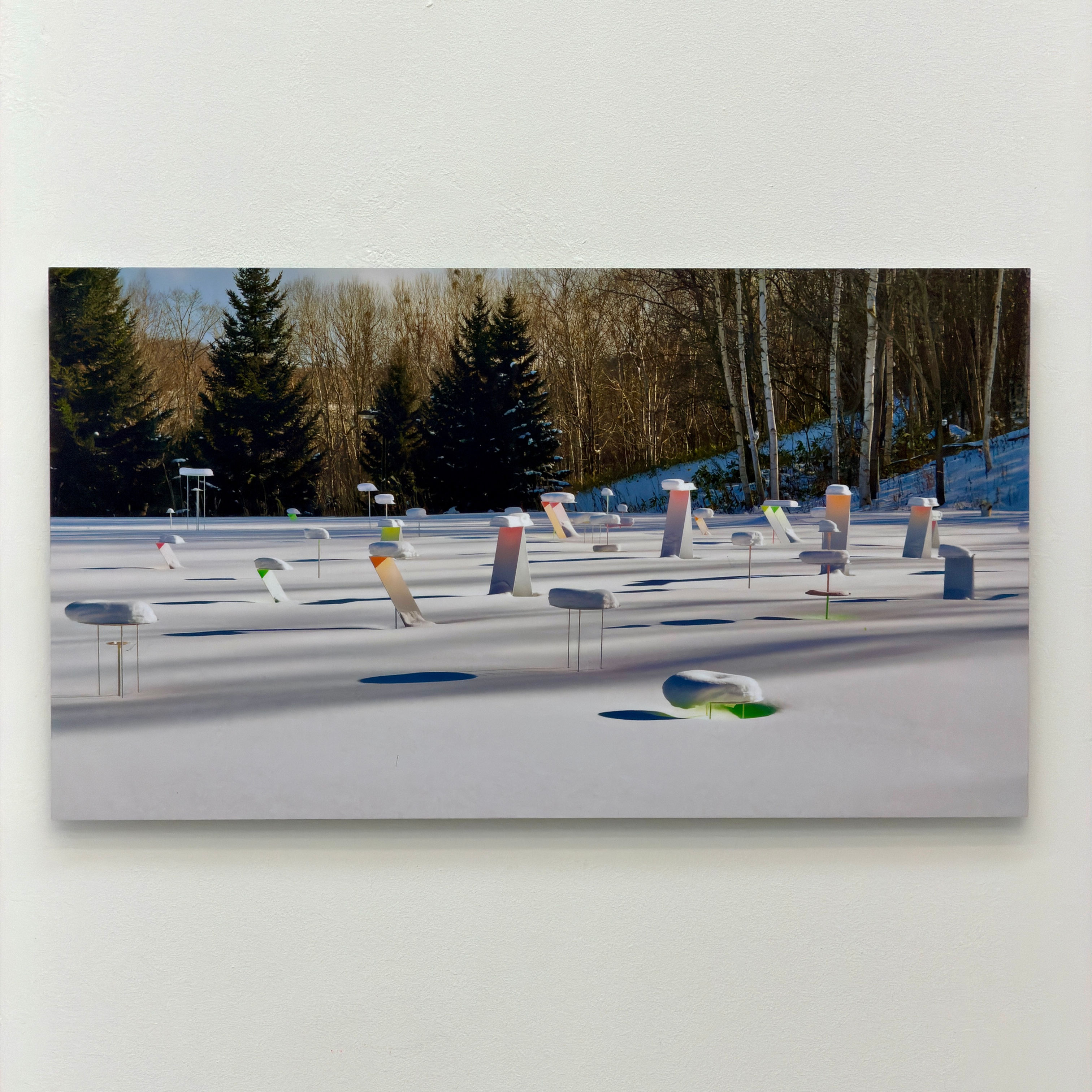 9. Toshihiko Shibuya (1960) JPN -Snow Pallet 15 - Snow on Anthropocene-