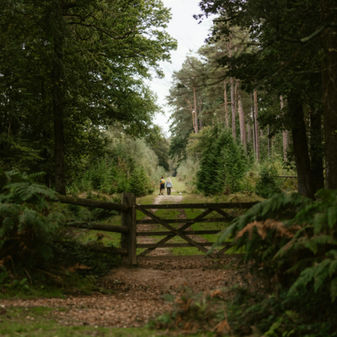 Guide: Everything you need to know about annuities when creating a retirement income