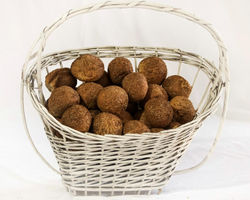 WhatsApp Image 2020-04-25 at 22.38.05.jp