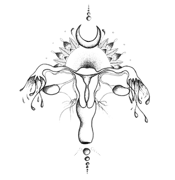 utérus. Trompes de fallopes. Lune. Cycle.