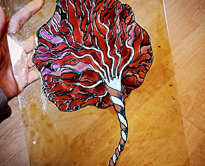 Placenta. Peinture vitrail