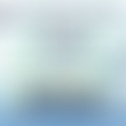 Business Visa Solicitors UK : Skilled Worker Law