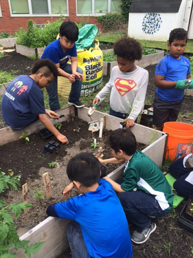 2019 TOAST Garden Club 2.jpeg