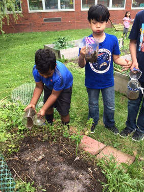 2019 TOAST Garden Club 3.jpeg
