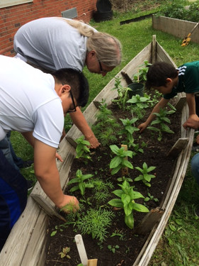 2019 TOAST Garden Club 1.jpeg