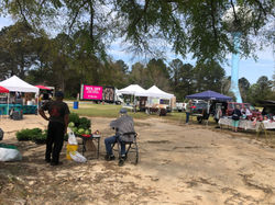 Tier 3 - Mark Hooper