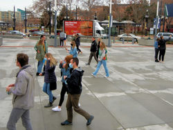 Tier 2 - Tommy Scanlon