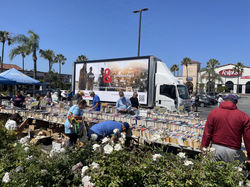 Tier 2 - William Rangel